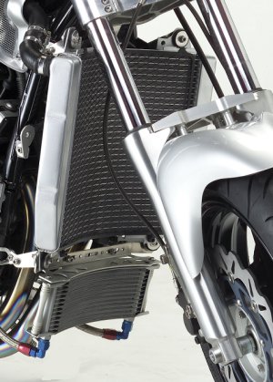 Big Radiator Kit in Black or Silver Side Covers (Core Guard) (1200)